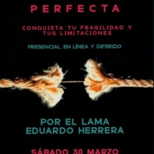 Tu Vida Es Perfecta - En línea / Diferido
