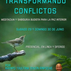 Taller - Transformando Conflictos: Meditación y Sabiduría Budista para la Paz Interior (En Línea/Diferido)