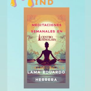 Mindful Mind