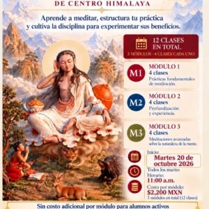 Práctica, Experiencia y Transmisión de la Meditación